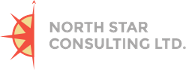 North Star Consulting logo